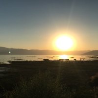 DonieB (@donieb5) 's Twitter Profile
