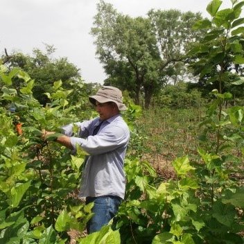 Researcher in Animal Science. Animal nutrition; Agroecology transition; Precision farming; Adaptive capacities