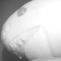 Femboy Infrared (@infraredfemboy) 's Twitter Profile