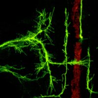 Dietmar Schmucker (@dietmarschmuck1) 's Twitter Profile