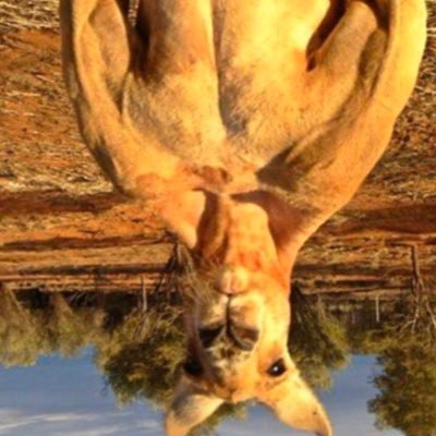 Adrien30732513's profile picture. 
