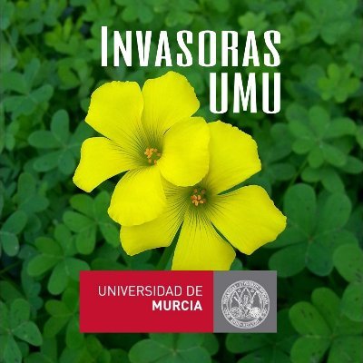 ¡Bienvenidos/as!
Desde el Departamento de Ecología e Hidrología 
EEIs en el Campus de Espinardo (Universidad de Murcia)
Divulgación científica a tu alcance.