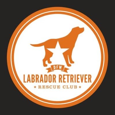 We’re a 501c3 non-profit dedicated to rescuing & re-homing Labradors in the Dallas/Fort Worth area. Be a Hero. Save a Life. Donate.Volunteer.Foster.