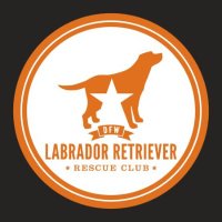 DFW Labrador Rescue(@DFWLabRescue) 's Twitter Profile Photo