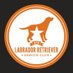 DFW Labrador Rescue (@dfwlabrescue) Twitter profile photo DFW Labrador Rescue (@dfwlabrescue) Twitter profile photo
