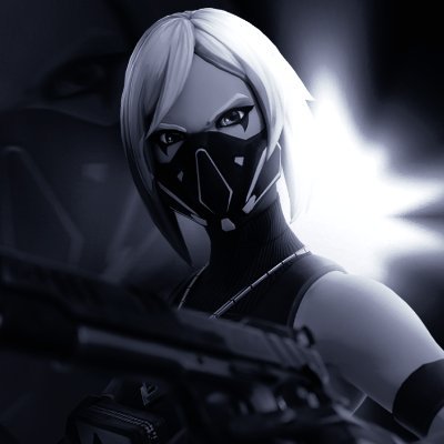 17 | 4k earnings | Player for @ |Solo heat qualifier | 2X DREAMHACK FINALIST | Code: Rimic #ad |