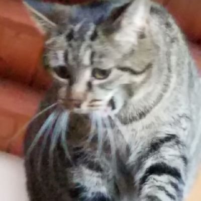 TeamYappy's profile picture. life is good