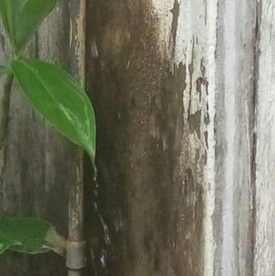 nif_sl's profile picture. photography
writer
artist