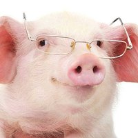 MAIALEN (@mailategui99) 's Twitter Profile Photo