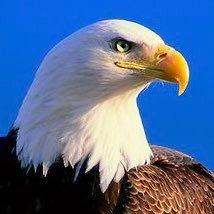 zachariahsilk's profile picture. strategist | organizer | troublemaker | president of civic ventures | collaborator with @nickhanauer