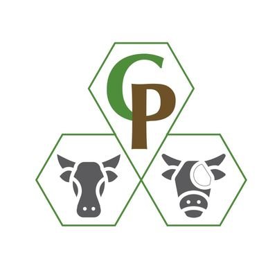Conexión Pecuaria, es una consultora en Nutrición Animal, buscado alcanzar la eficiencia en la producción bovina de carne y leche 🐂🥩🐄🥛