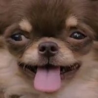 kt 🐶 happy dongyoon 10th slayversary (@mamakdrama) 's Twitter Profile Photo
