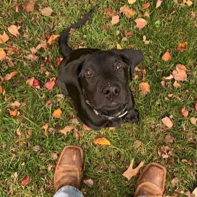 AustinTrammell2's profile picture. Clemson '20