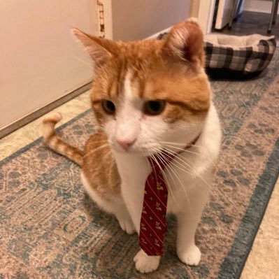 malayoman2's profile picture. @LFC following profile Separated news feed. Check out @malayoman for science-related tweets