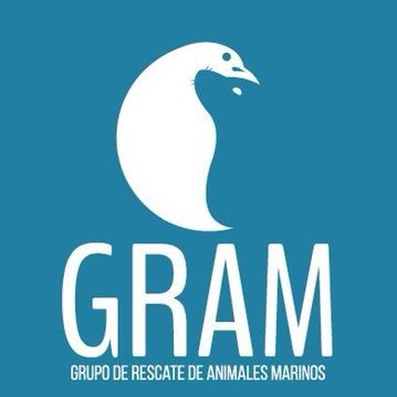 Grupo De Rescate De Animales Marinos Gram Gram Trujillo Twitter