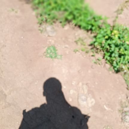 Kariuki17412338's profile picture. my looks