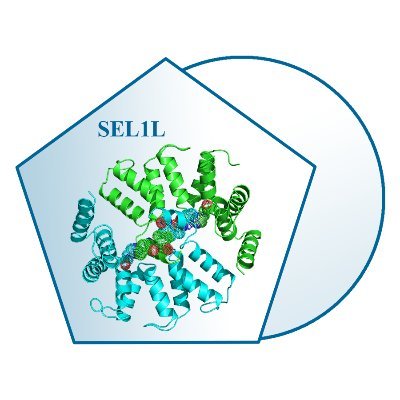 IsenetL's profile picture. ISENET-USA,LLC 
Galileo Tissue Microarrayer & Cell Biothechnology