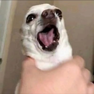 GoD_AimZ's profile picture. 