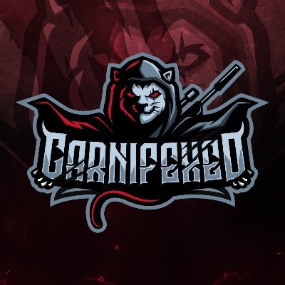 @Twitch Partner

Former @m10esports Player

Business Inquiries: carnifexed@gmail.com