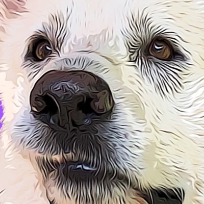 YaaksTv's profile picture. Streamer de pacotilles.