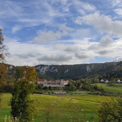 rubaorubao's profile picture. 