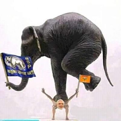 Vinod50602813's profile picture. Jay bheem Jay mulnewasi