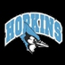 Hopkins Lacrosse (@hopkinsmenslax) Twitter profile photo