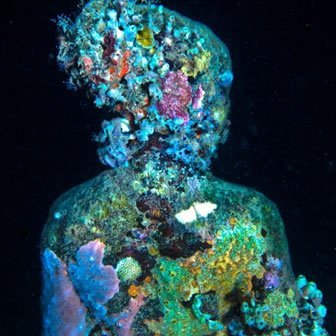 AdeleLoryLory's profile picture. 