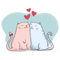 catscoast (@catscoast) 's Twitter Profile