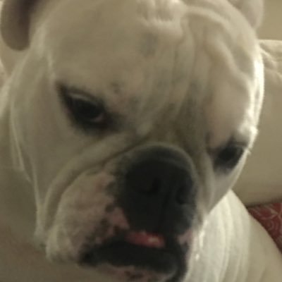Hi I’m jackson