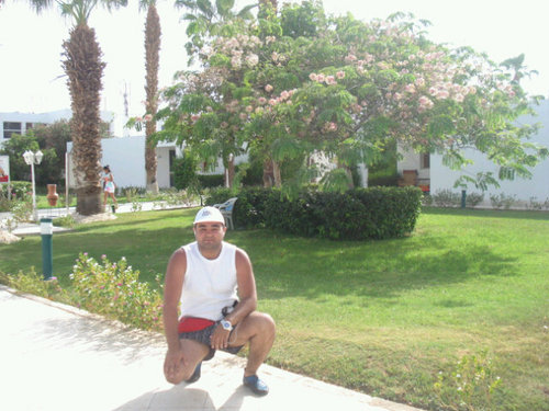 tamer_sameh's profile picture. 