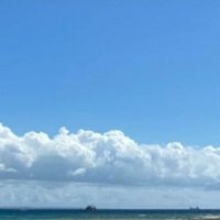 ミサト（低浮上） (@3m1i0n4o) 's Twitter Profile Photo