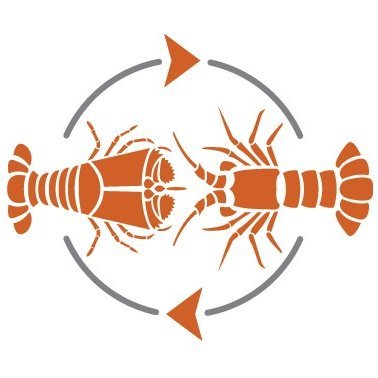 Developing innovative technology that will facilitate the sustainable and onshore commercial production of high-quality lobsters in Australia.