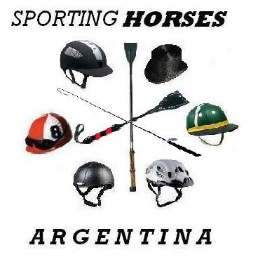 Sporting Horses desarrolla productos y servicios de comunic. y marketing dirigidos a todos aquellos relacionados al mundo de los caballos deportivos.