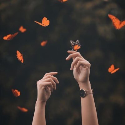 saroon_qadadeh's profile picture. 