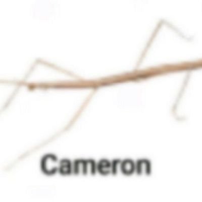 cjpauly11's profile picture. Hallo. Ich heiße Cameron.   Die Toilette ist lustig.