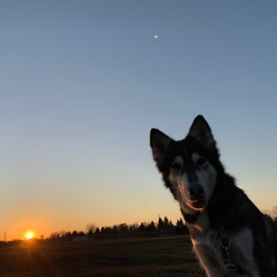 mandiesandco's profile picture. Digital Marketer whose name rhymes with panda. ♧Movies once a week, ice cream once a day keeps the d-d-doctor away♧