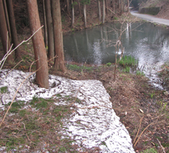 recording2's profile picture. 自然の中の空気を楽しんでます