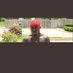 _Playboykk ๐
ฟ๏ธ (@quietmoneytonyy) Twitter profile photo _Playboykk ๐
ฟ๏ธ (@quietmoneytonyy) Twitter profile photo