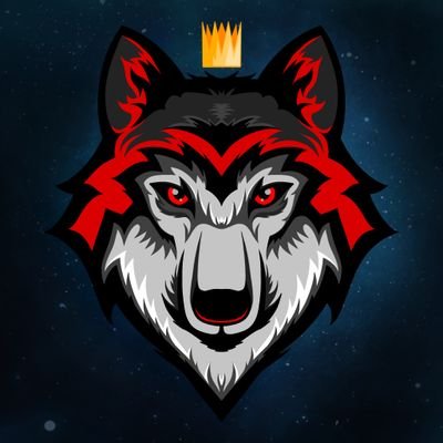 APHWolf20 Profile Picture