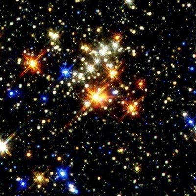 muratselcuk06's profile picture. 