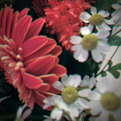 ウニィさんのプロフィール画像