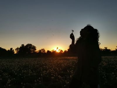 janegreens's profile picture. 