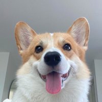 alexisse (@alexisse0211) 's Twitter Profile