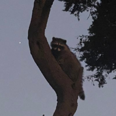 organicnutmilk's profile picture. i have nothing 2 say!