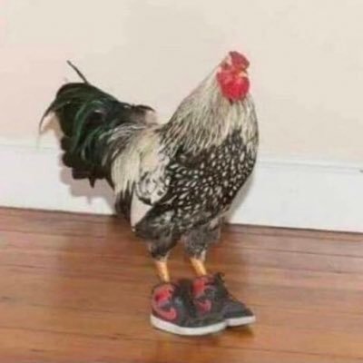 notrubenvelasco's profile picture. please save me from myself