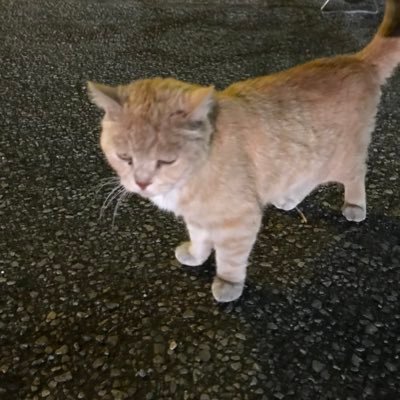 Mr.Kさんのプロフィール画像