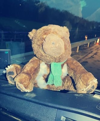 ArthurTheBear2's profile picture. Just a bear trying to make it home.