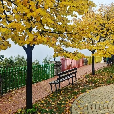 Fatjan99800619's profile picture. jani