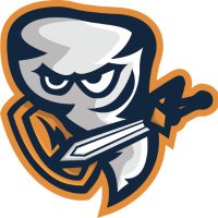 Avatar of NERF